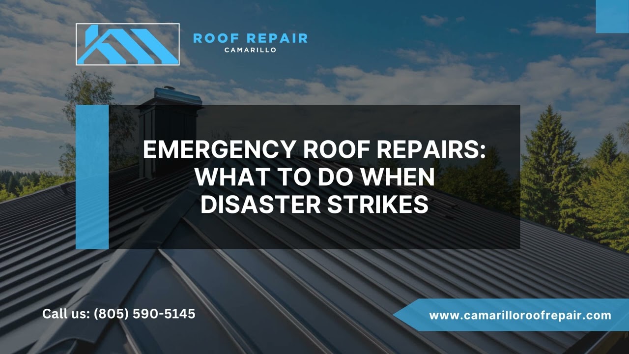 Emergency Roof Repairs: What to Do When Disaster Strikes
