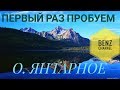 Русская Рыбалка 4! РР4. озеро Янтарное и Медвежье Погоняем КАРПИКОВ))))