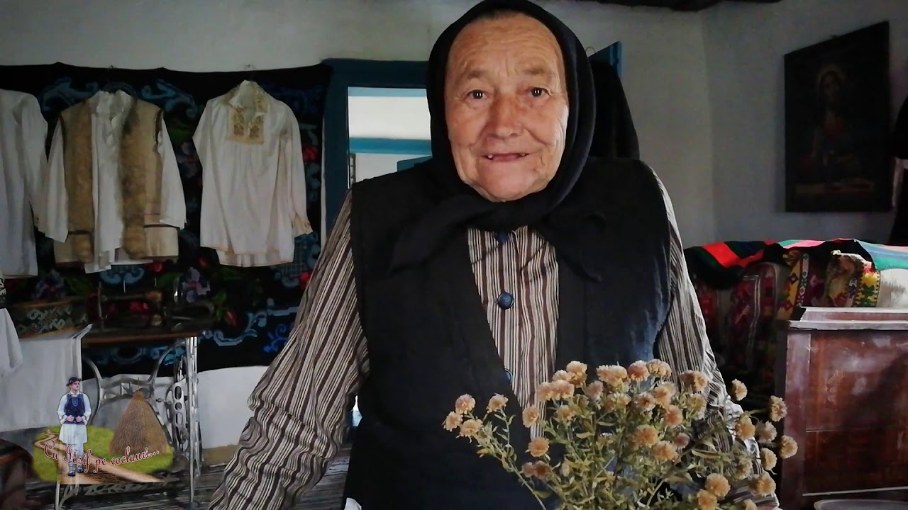 Pe coclaurile din satul Vaidacuta - un sat de aproximativ 15-20 de locuitori (