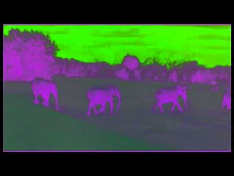 ნიკ მღვიმელი და ცუდი თესლი - Imegination