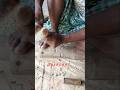 How to make bamboo Mask// #shorts #viral #bamboo #home #craft #pujazoot