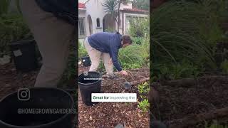 FEED the TREES