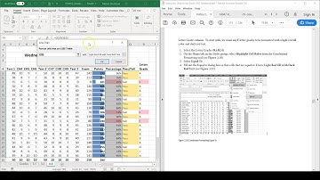Conditional Formatting: Highlight Cell Rules
