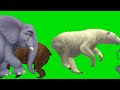 Green screen animals stampede 3D video! Cartoon funny video! #stampede#animals #greenscreen #cartoon