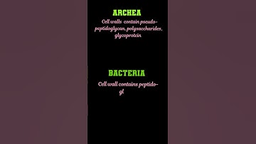 Difference between archaea and bacteria #botany #microbiology #biology