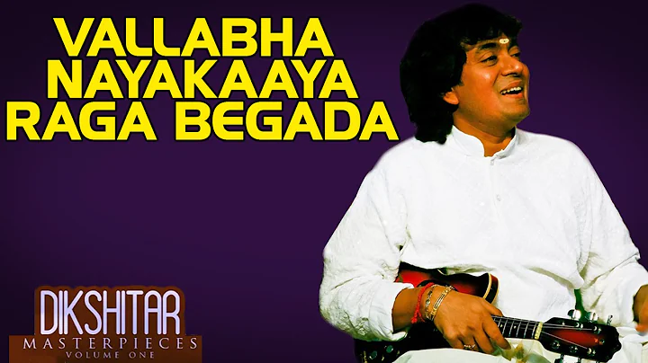 Vallabha Nayakaaya Raga Begada - U. Srinivas (Albu...