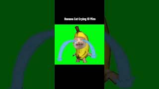 Кот Банан Плачет 10 Минут