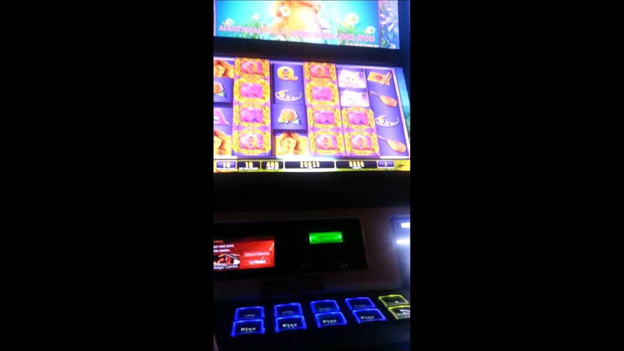 Caca niqueis sem deposito Genie Jackpots Caca niqueis sem deposito Genie Jackpots