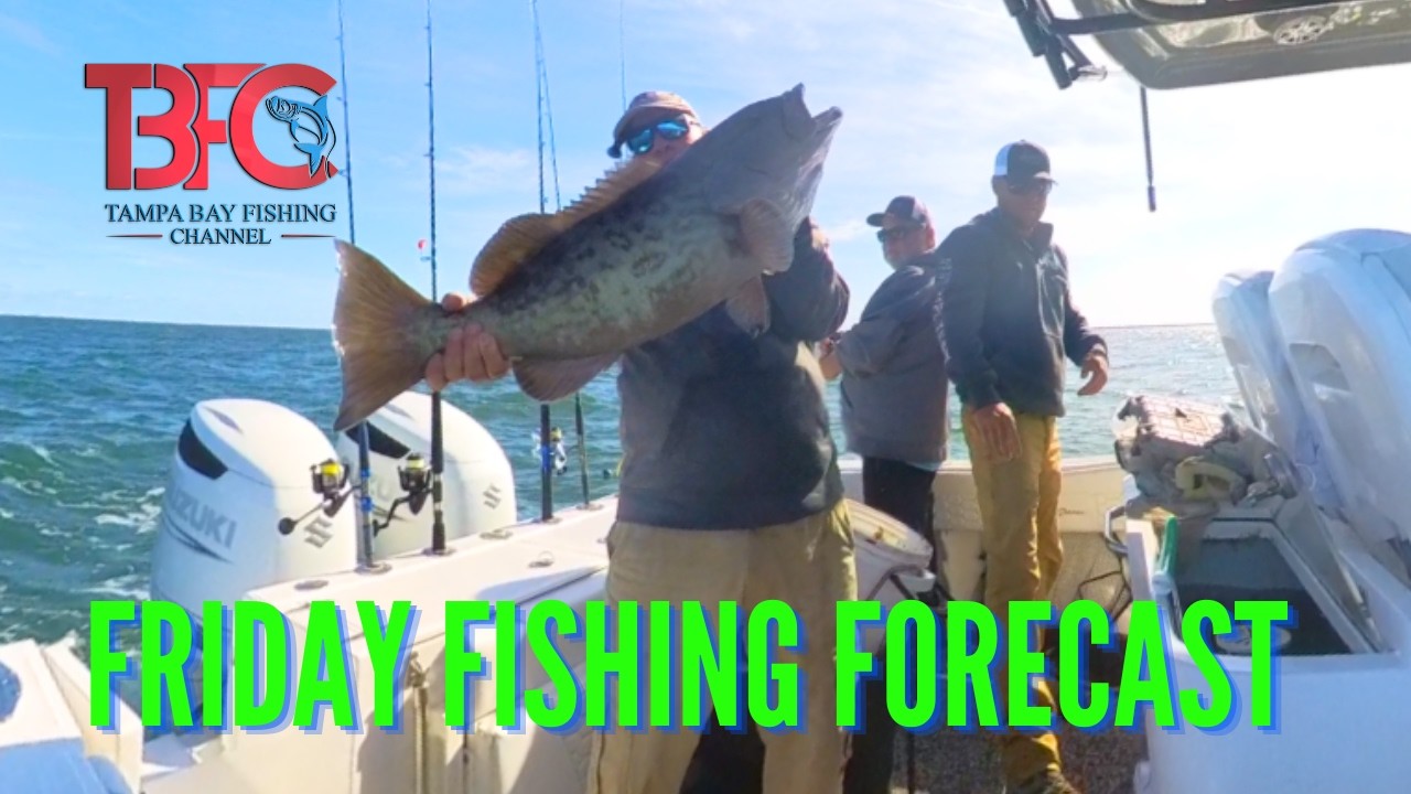 Прогноз погоды для рыбалки на пятницу снова в эфире!