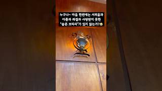 #마이진 #옹이 #보따리 #슬픔 #부모사랑 #실력