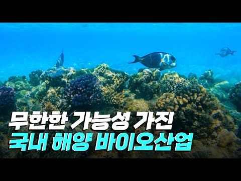 [핫클립] 국내 해양 바이오산업 연구 현황 / YTN 사이언스