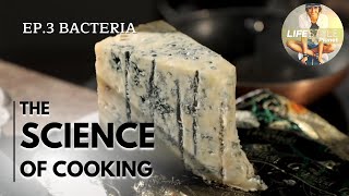 The Science of Cooking: Bacteria | Documentary food series | Yeast and sugar fermentation (alcohol)