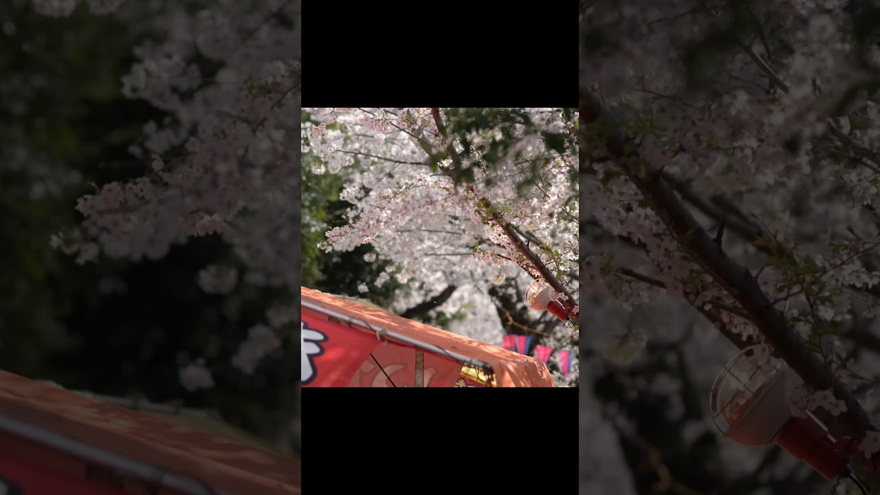 月末限定✨5D MARKⅣオマケ多数で16万 YouTube