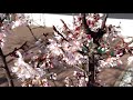 Sakuragaoka Karate Dojo Limburg: Spring is here 桜ヶ丘空手道場に春が来た…【Akita&#39;s Dojo】
