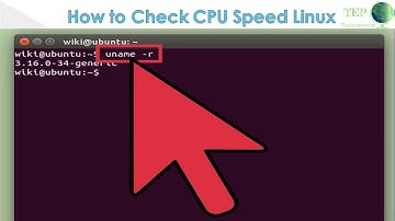 How to Check CPU Speed Linux