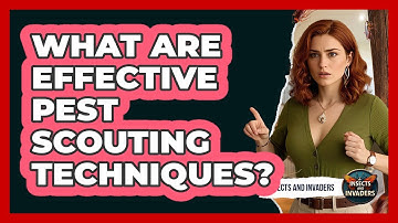 What Are Effective Pest Scouting Techniques? - Insects and Invaders