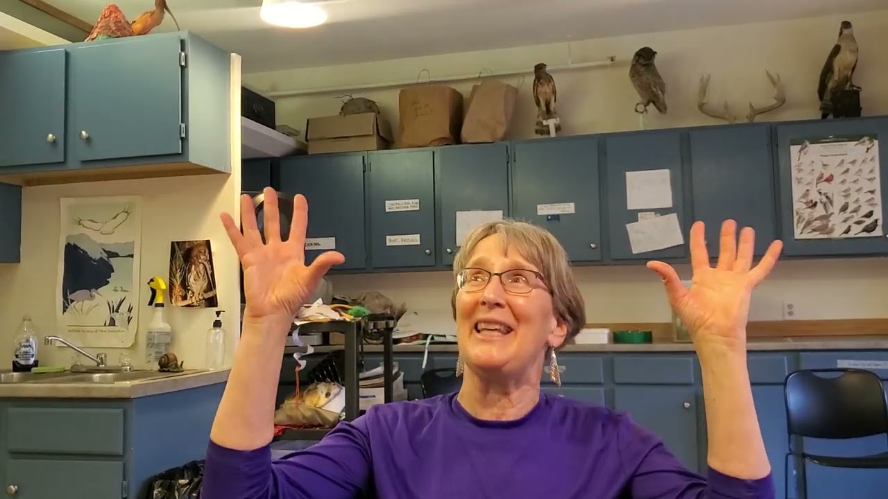 NH AUDUBON Becky Suomala making history.