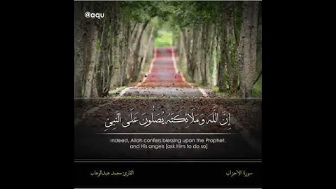 حالات واتس أب دينية || إن الله وملائكته يصلون على النبي... || القارئ محمد عبد الوهاب || سورة الأحزاب