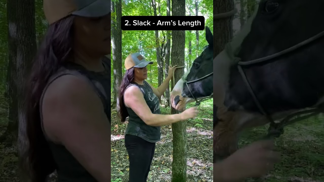 How to tie your horse to a tree or post. 