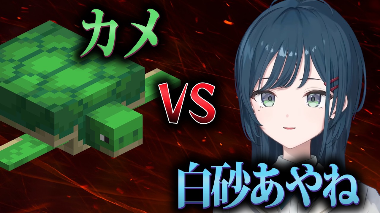 【あらなみマイクラ】カメの捕獲を試みる白砂あやね、闘いの記録【にじさんじ/切り抜き】
