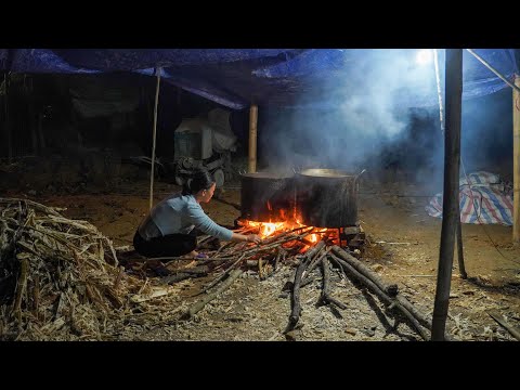 Mountain Cabin Life (Off-Grid) - How Does This Resilient Couple Survive?