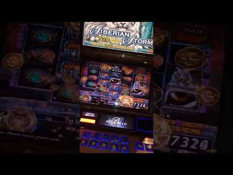 Experience the Thrill of Online Live Roulette: Play in English at Top Casinos