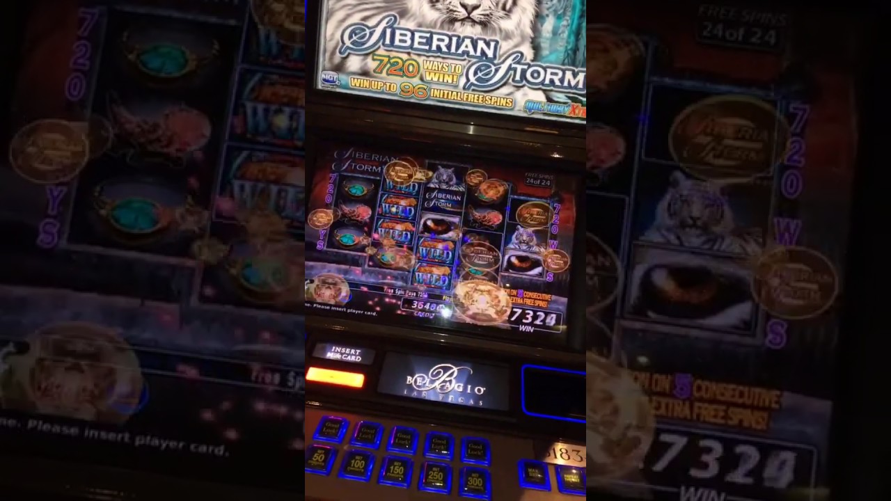 Siberian Storm - Bonus Feature