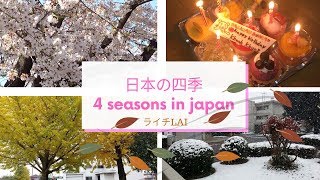 [V4] [RaichiLai] 4 MUA O NHAT- 4 SEASONS IN JAPAN - 日本の四季