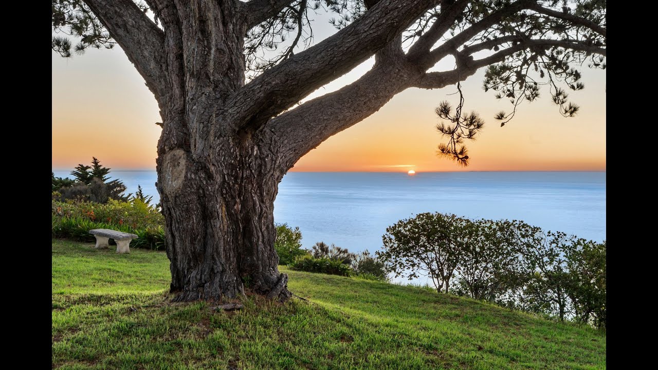 63 Kalimna Drive, 2 & 8 Caraar Creek Lane, Mornington