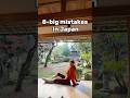 8 big mistakes in japan