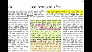 דף יומי מסכת סוכה דף נד Daf yomi Succa daf 54 שמואל נבון