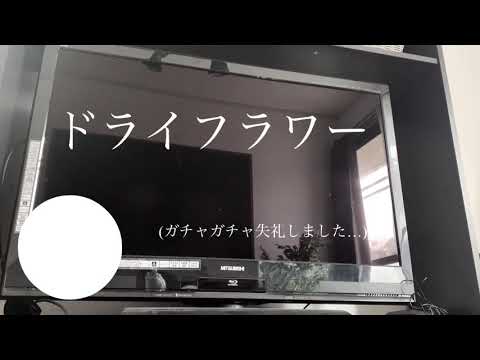 (女性が歌う)優里　ドライフラワー　歌ってみた