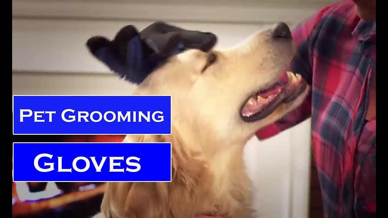 Pet Grooming Gloves For Cats, Dogs & Horses  **ToolSonic.com**