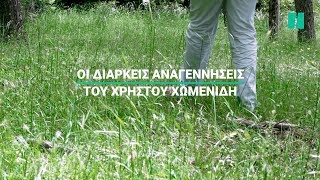 Οι διαρκείς αναγεννήσεις του Χρήστου Χωμενίδη