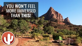 SOUTH CAMPGROUND at ZION - Everything You Need to Know! | ZION NATIONAL PARK (2019)