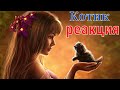 Подарили котика дочке | Реакция