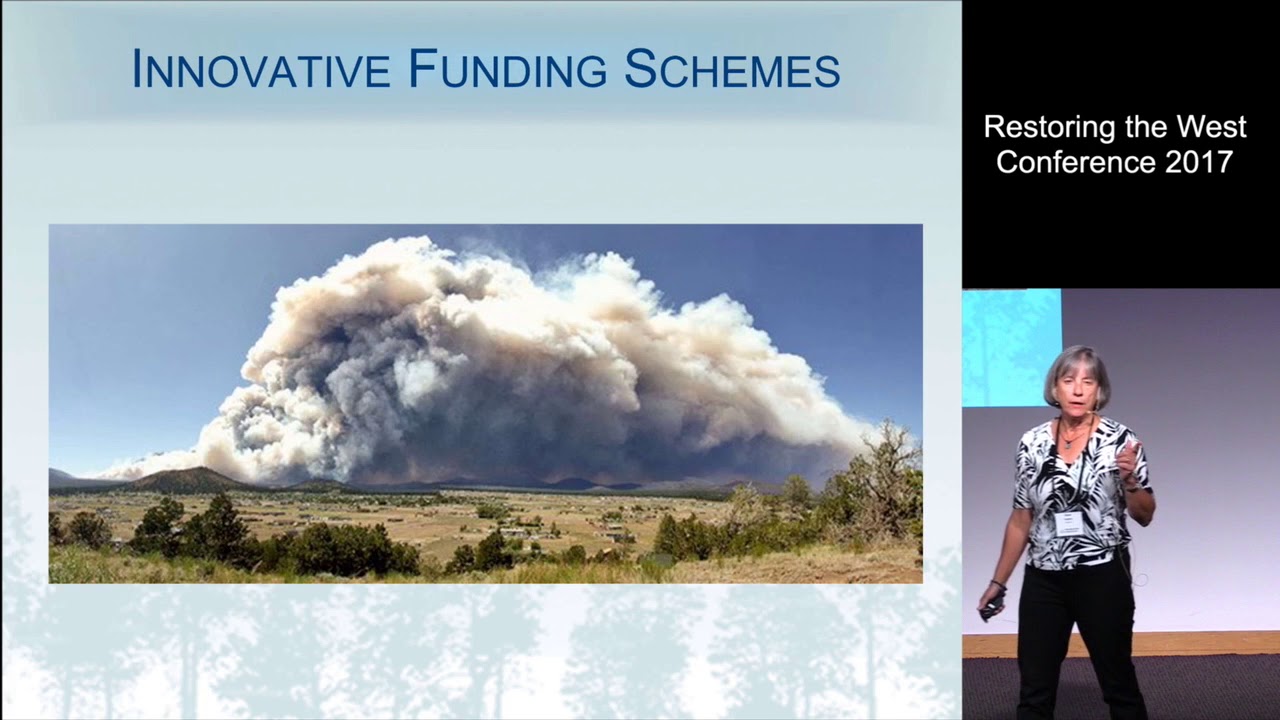 If the Trees Don’t Pay for Restoration, What Will? (RTW 2017)