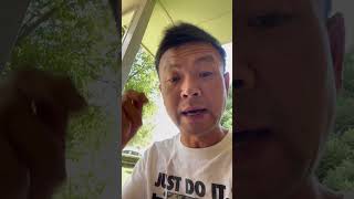 Uber Surge Explained