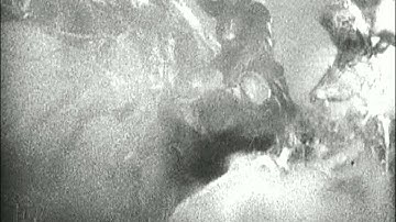 Der Atomat - Expander Survivor