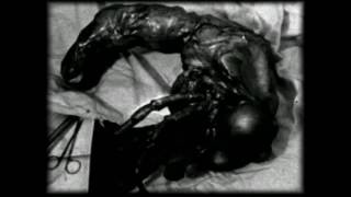 [ObsCure] Episode - 10: Elevator Safety Tutorial screenshot 2