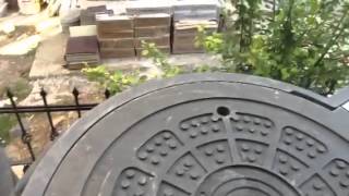 IMG 1202