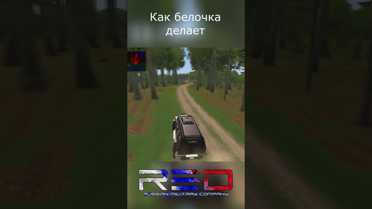 как белочка делает 