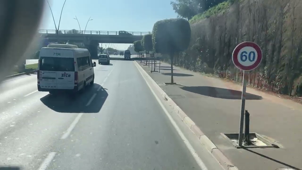 آخر مستجدات وتطورات عمليات التشجير والمساحات الخضراء في بدال سيدي معروف