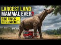 The Largest Land Mammal Ever (A Fire Truck Fits Under It!) 🚒