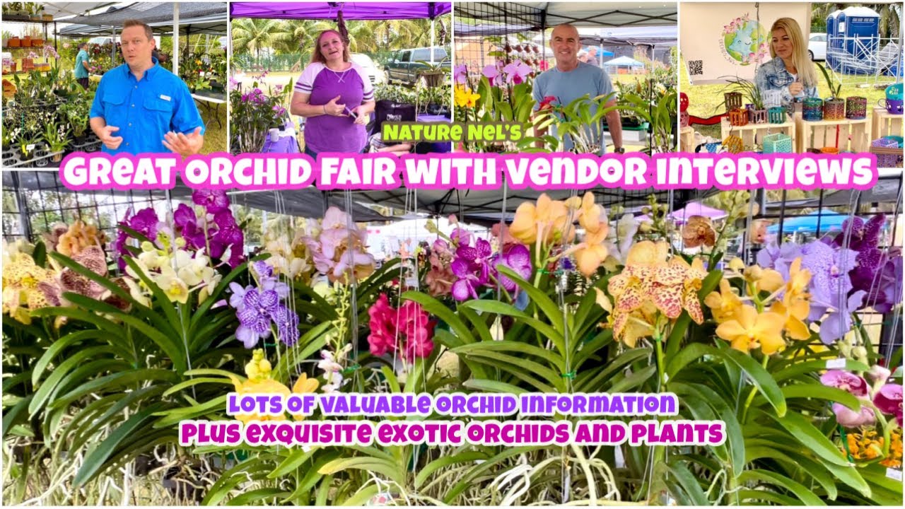 Orchid and Plant Fair in Florida! Join me on an explosion of exotic