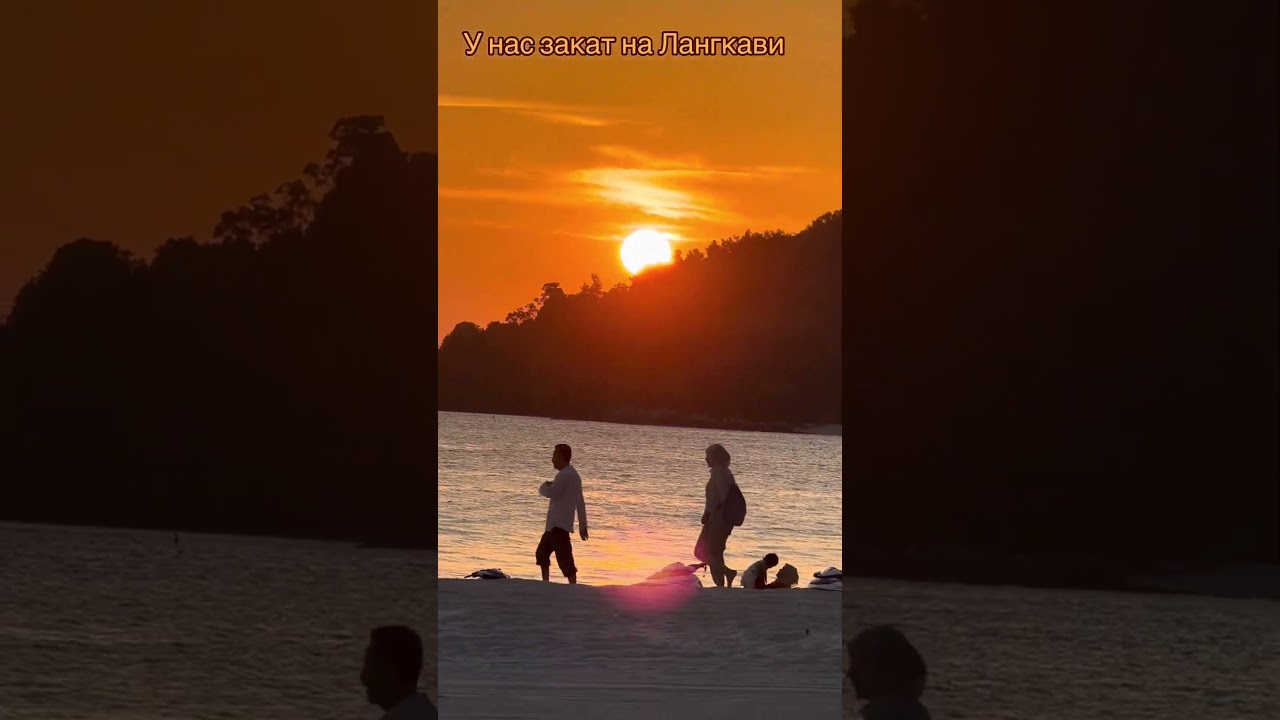 31 января 2026 г.