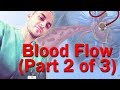 Blood Flow Through the Heart Made Easy (Part 2 of 3)