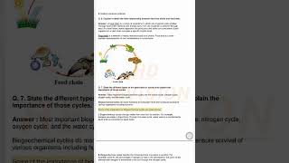 9th Sci EXL7 Energy flow in an ecosystem #knowledge #revision #exam #education #science HD REVISION 