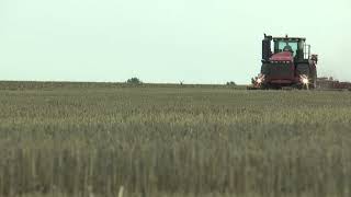 Versatile 550 articulated tractor with single wheels pulling Väderstad TopDown in Germany