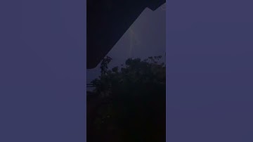 اجمل حالات واتس اب بصوت رعد الكردي | تلاوة مؤثرة 🤍
